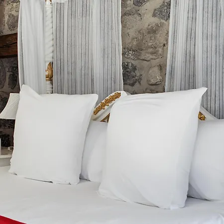 Chateau De La Rive Romantique 3*